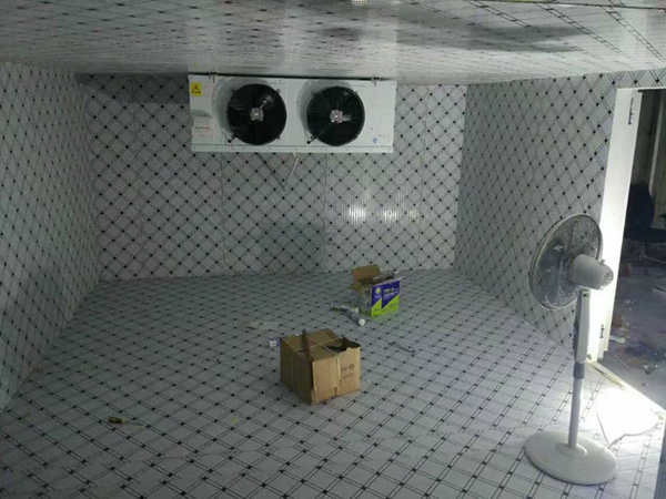 弋江区超低温冷库设计